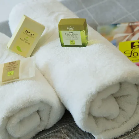 Logis Hotel&restaurant De La Basilique Hotel Albert