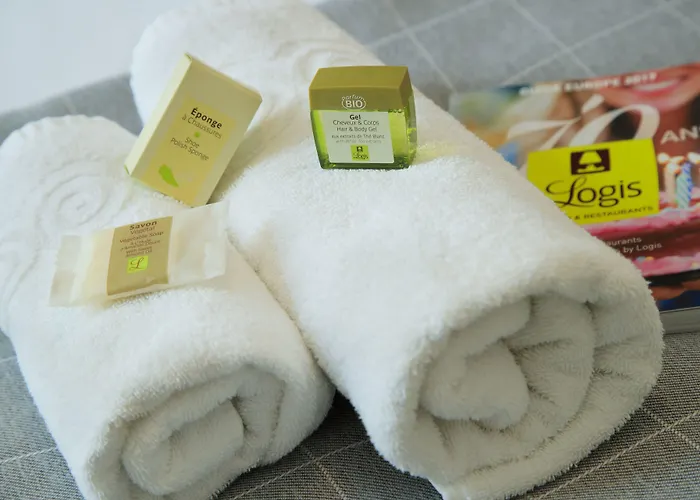 Logis & Restaurant De La Basilique Hotel Albert